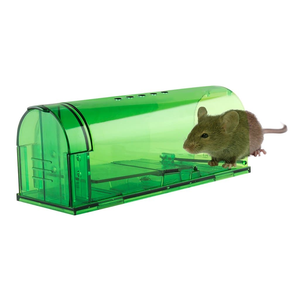 humane mouse trap