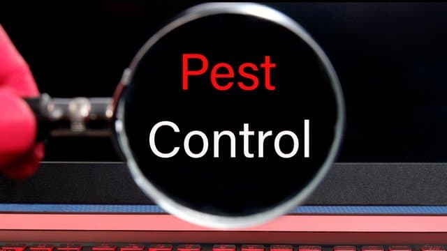 Will a Flea Trap End My Infestation?