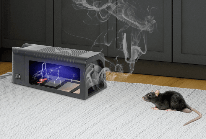 How to position mouse traps
