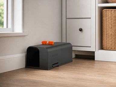Electronic pest control device in a utility room