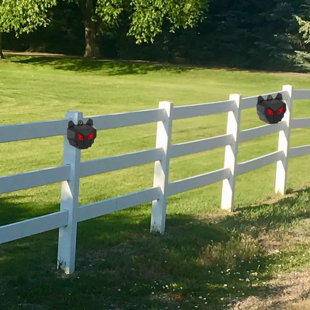 Homemade Turkey Repellent Solutions